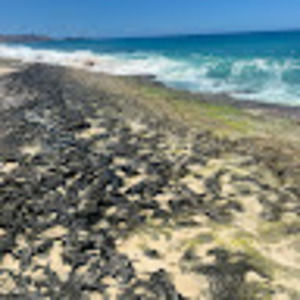 Meet your Posher, Oslo